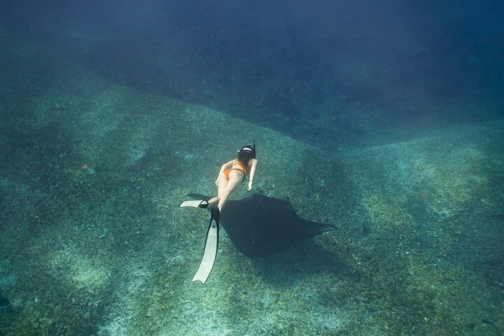 Full-Day Adventure Tour to komodo Island with join Speed Boat tur