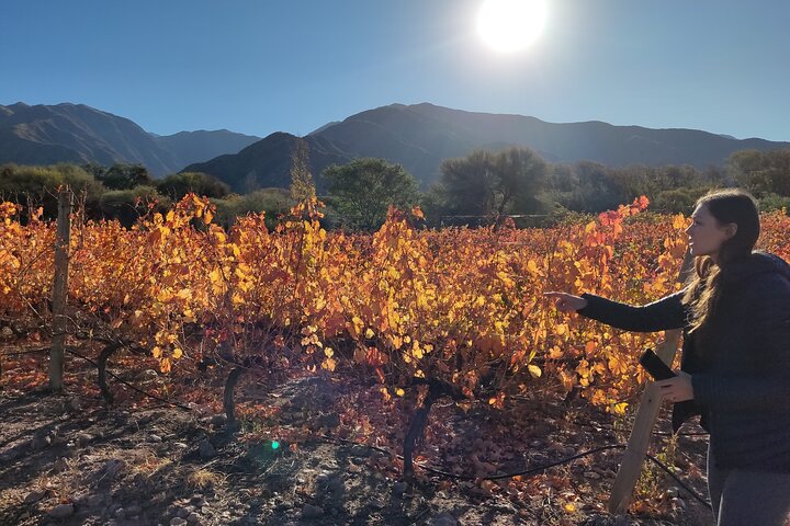 Velazco Mountains Trekking