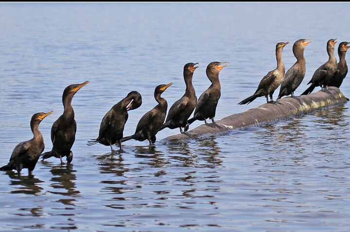 Tambopta National Reserve 5 days tour