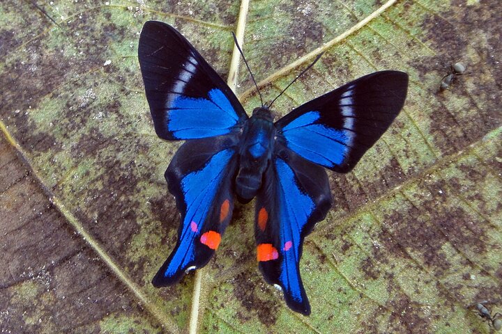 Tambopta National Reserve 5 days tour