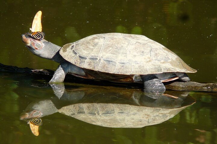 Tambopta National Reserve 5 days tour