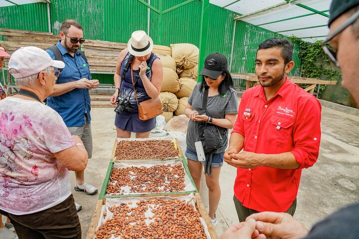 Coffee, Chocolate & Sugar Cane Tour (Regular)