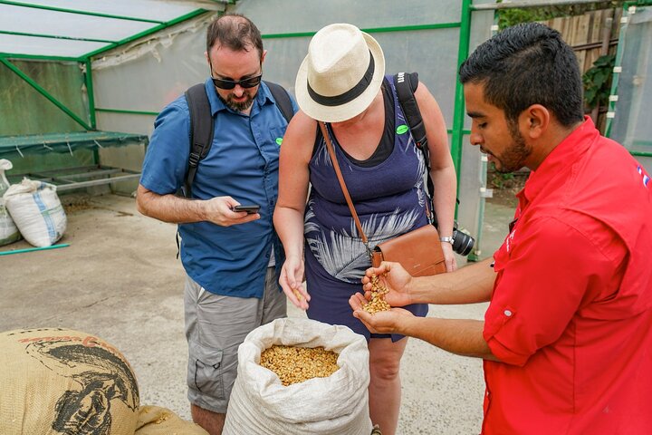 Coffee, Chocolate & Sugar Cane Tour (Regular)