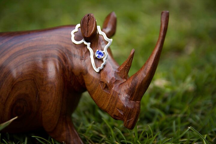 Tanzanite Shopping Experience in Arusha