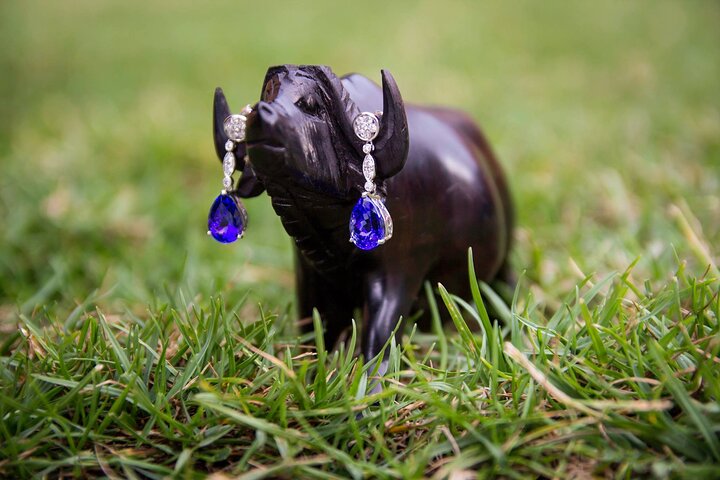 Tanzanite Shopping Experience in Arusha