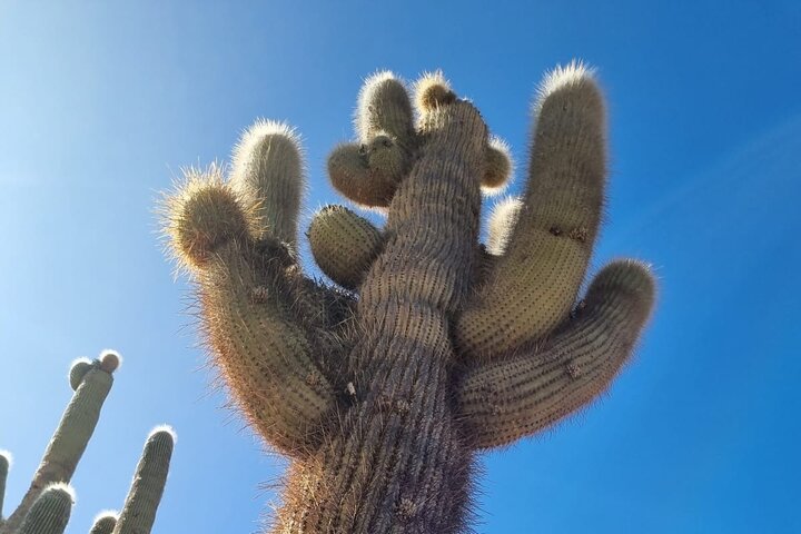 Promotion of 3 Excursions: Cafayate + Cachi + Salinas