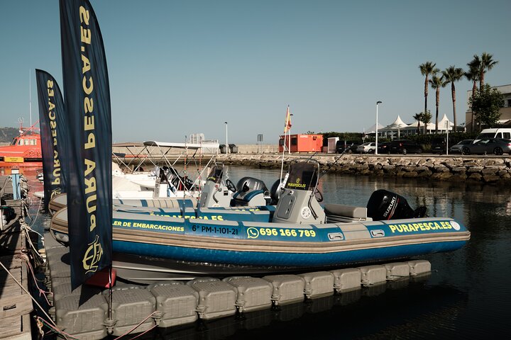 Private Tour with Dolphin Watching in Algeciras Bay