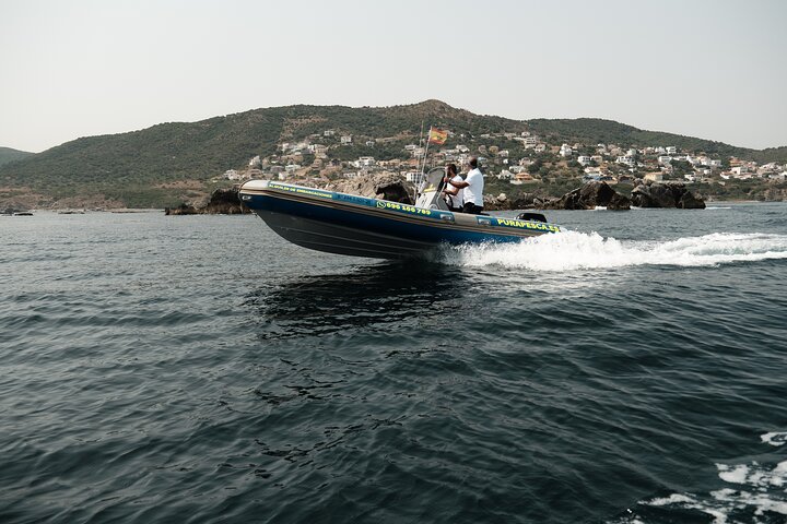 Private Tour with Dolphin Watching in Algeciras Bay