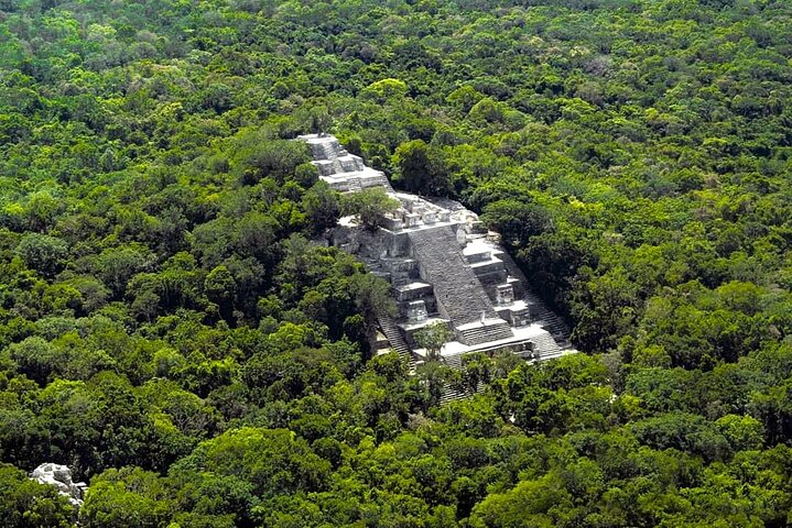 Full Day Excursion to Calakmul and Balamkú From Campeche