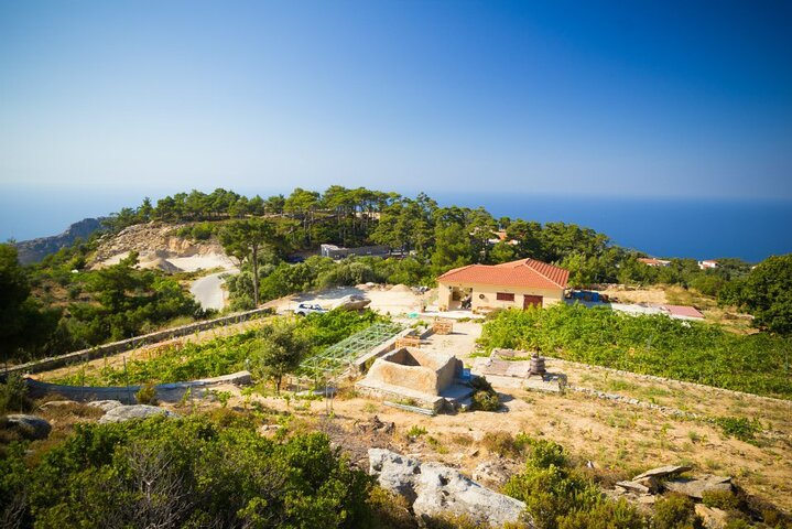 Classic Tour & Natural Wine Tasting (Private)
