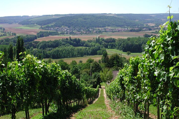 Visit-Tasting-Sale