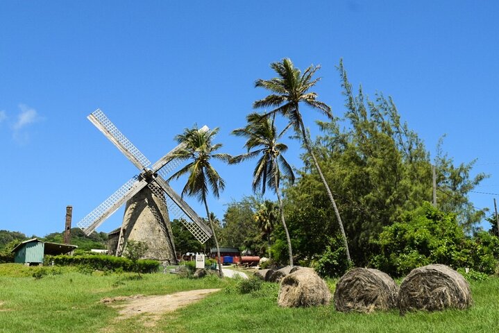Barbados Highlights and Rum Tour