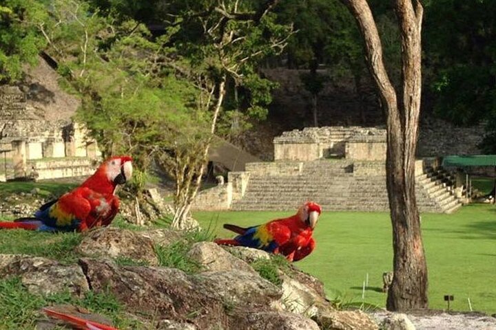 Copán Honduras Overnight. from Guatemala or Antigua.