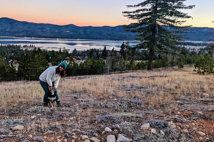 Guided Hiking Tour in Big Bear with Sunset Champagne toast on Private Dock