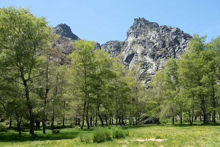 SERRA DA ESTRELA - Excursão com degustação de queijo da serra