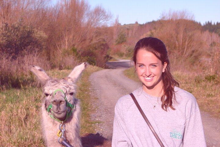 Llama Trek (Taster) - Kowhai River Valley and Native Woodland Tour