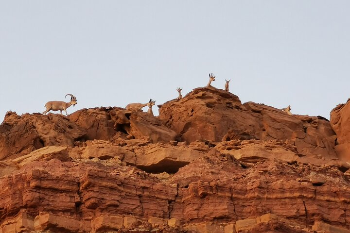 In Depth Introduction of the Ramon Crater