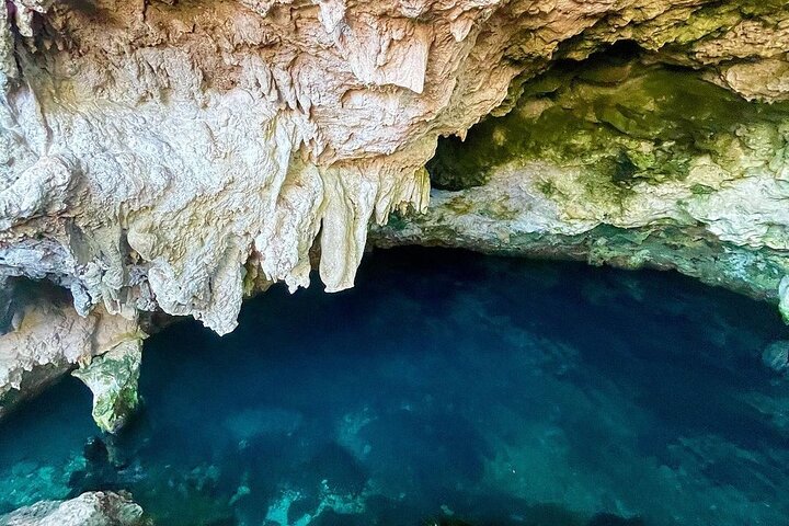 Kuza Cave Tour; Paje Beach; The Rock; Jozani Forest, Salaam Cave