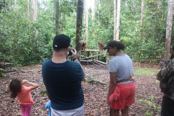 Orangutan Houseboat Kelotok Tanjung Puting 3 Days Share Cost