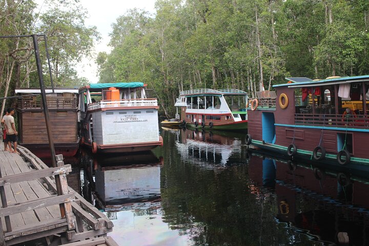 Orangutan Safari Kelotok Houseboat 3 Days 2 Nights Private