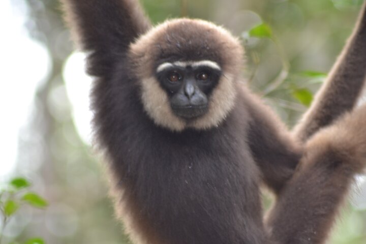 Orangutan Safari Kelotok Houseboat 3 Days 2 Nights Private