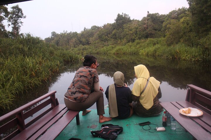 Orangutan Houseboat Kelotok Tanjung Puting 3 Days Share Cost