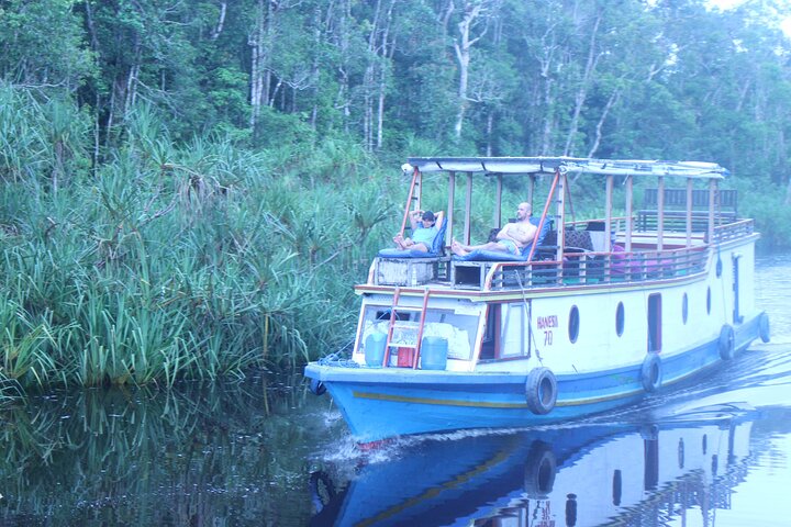 Orangutan Houseboat Kelotok Tanjung Puting 3 Days Share Cost