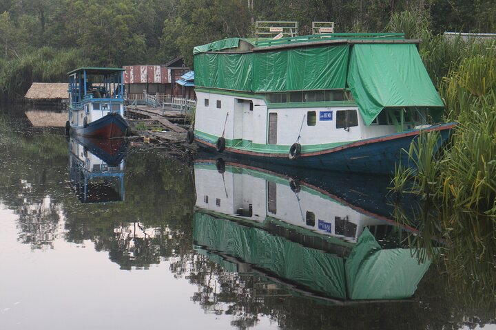 Orangutan Houseboat Kelotok Tanjung Puting 3 Days Share Cost