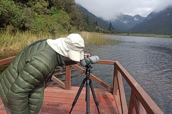 Birdwatching Tour in Cajas National Park from Cuenca