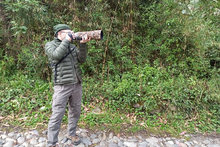 Birdwatching Tour in Cajas National Park from Cuenca