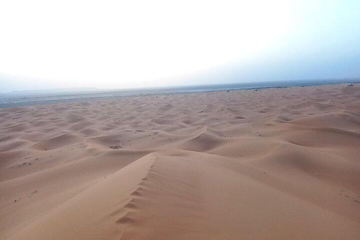 Ride the Camels for Sunset in Merzouga Dunes