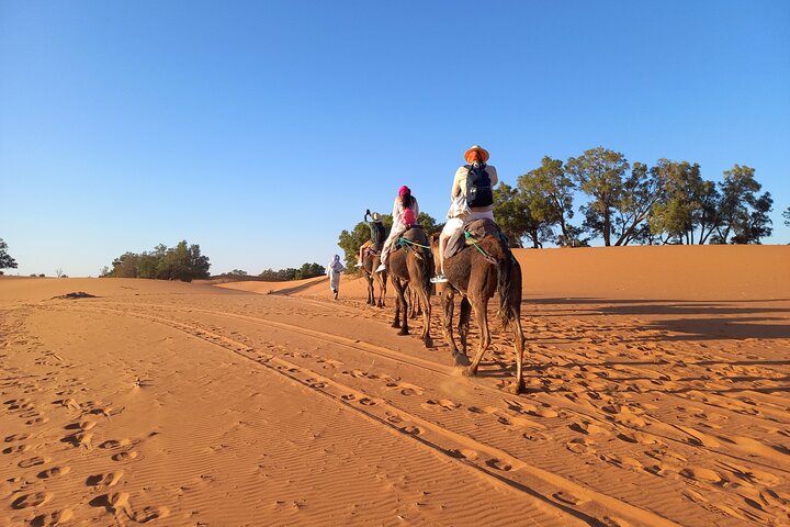 Ride the Camels for Sunset in Merzouga Dunes