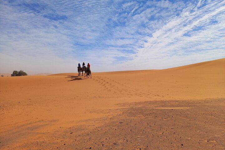 Ride the Camels for Sunset in Merzouga Dunes