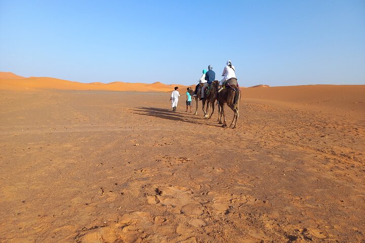 Ride the Camels for Sunset in Merzouga Dunes