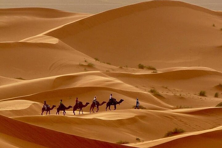 Fes To Marrakech: 3-Day Desert Tour