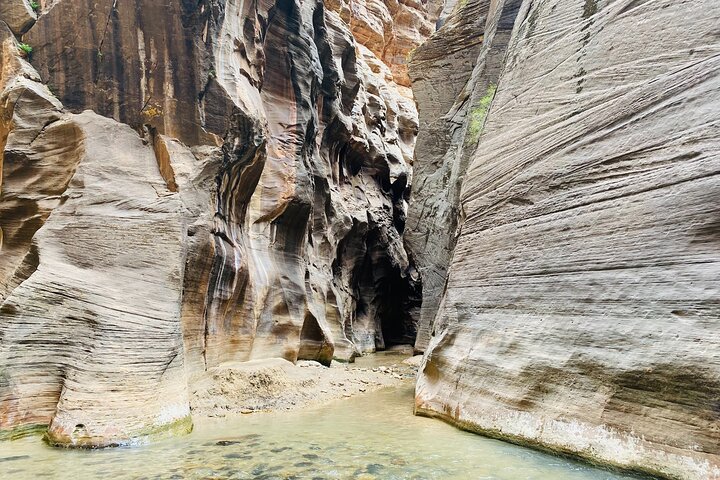 Zion Narrows: Private Guided Hike + Picnic (Gear Included)