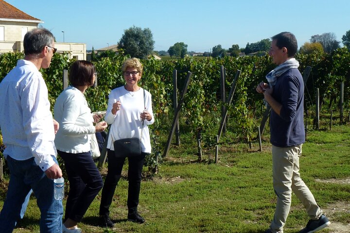 Medoc Region Wine Day Trip with Vineyard Visits & Tastings from Bordeaux