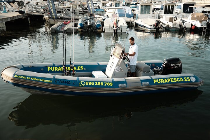 Private Tour with Dolphin Watching in Algeciras Bay