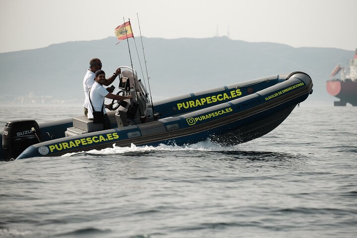 Private Tour with Dolphin Watching in Algeciras Bay