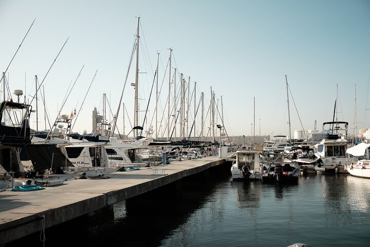 Private Tour with Dolphin Watching in Algeciras Bay