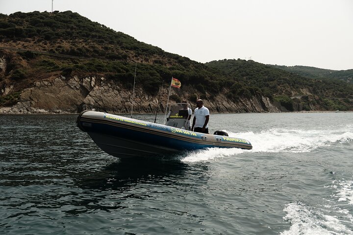 Private Tour with Dolphin Watching in Algeciras Bay