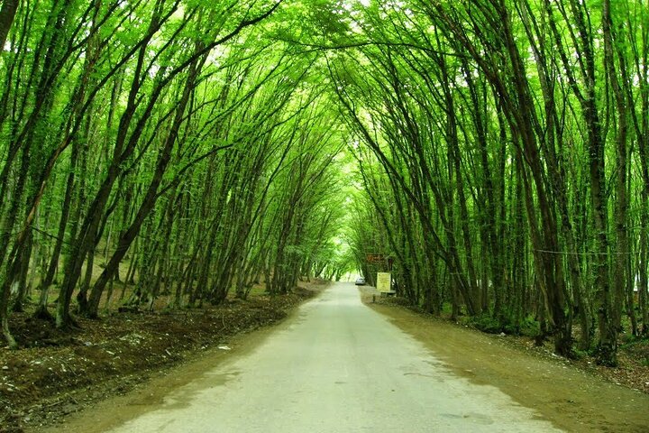Baku to Guba, Candy Cane, Khinaliq village with HOMEMADE lunch