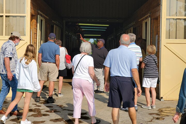 Full-Day Lexington Farm Tour with Clay Pigeon Shooting