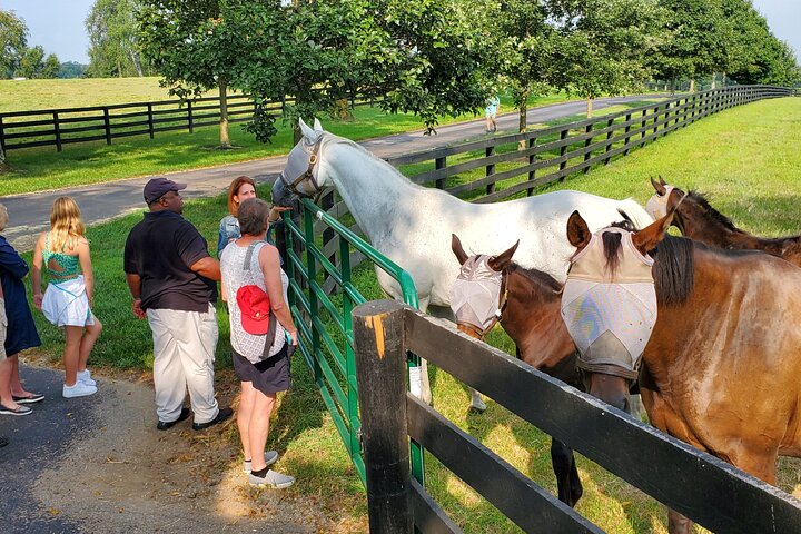 Full-Day Lexington Farm Tour with Clay Pigeon Shooting
