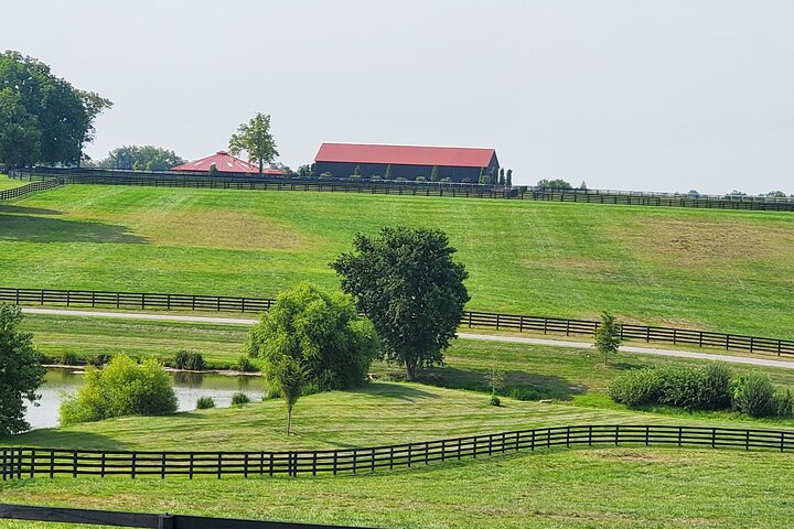Full-Day Lexington Farm Tour with Clay Pigeon Shooting