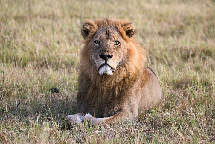 2 Nights 3 Days Chobe Safari ex Livingstone/ Victoria Falls