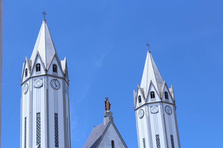 Santa Rosa de Cabal and Hot Springs Day Trip
