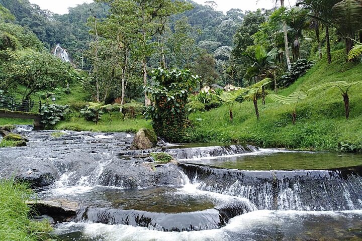 Santa Rosa de Cabal and Hot Springs Day Trip