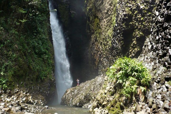 Santa Rosa de Cabal and Hot Springs Day Trip