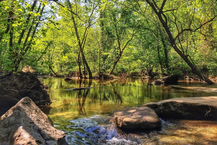Hiking the James River in Richmond, VA